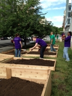 Filling the Raised Beds